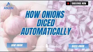 Automatic Onion Dicing Machine | High Efficiency Vegetable Cutting Equipment