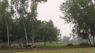 tere vicho Raab disada aasi sajda ta kita 🙌🙌🙌🥰🥰🥰🥰