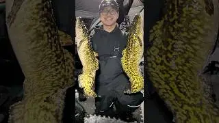 Ice fishing for Burbot! #fishing #icefishing #icefishingvideo #icefishingnation #burbot #eelpout