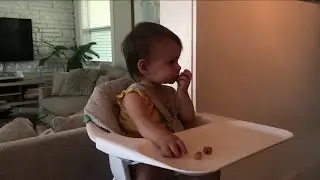 Toxic Baby Food
