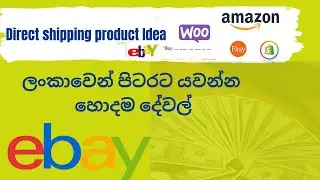 Best Items for Direct Shipping in Sri Lanka to Earn Dollars|පිටරට යවන්න හොදම දේවල්.