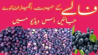 false ke fayde | Villy Information | benefits of phalsa