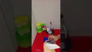 Fancy Tally Counter making