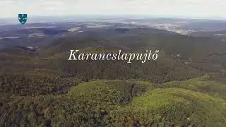 Karancslapujtő