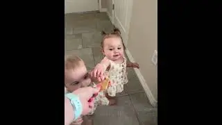Twin Grabs Cookie Offered to Her Sister - 1432352