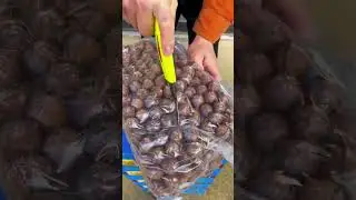 Premium Large Pine Nuts 🌰 | Fresh, Crunchy & Naturally Sweet