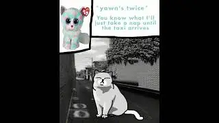 Battle of the beanie boos￼ chapter 1  &ldquo;CATTRA YOUR LATE&rdquo;!!!!!!!!⏰ ￼