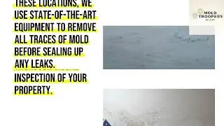 Mold Remediation Miami Beach, Florida - Mold Troopers of Miami