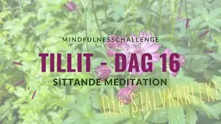 Tillit - DAG 16 Sj&auml;lvk&auml;rlek Sittande meditation (6 min) Mindfulnesschallenge 2023 | Livs Mindfulness