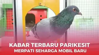 KABAR TERBARU PARIKESIT SETELAH DI TAKE OVER DARI TEAM KENWOOD