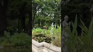 El Jard&iacute;n Bot&aacute;nico: silencio, naturaleza y ciudad 🌳 | 4K #buenosaires #travel #argentina #palermo