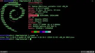 Neofetch Linux Shell Tutorial