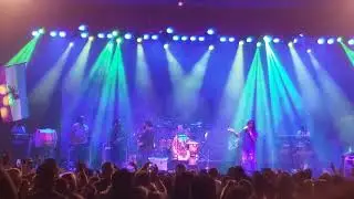 Stephen Marley 