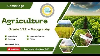 Grade 7 Geography Agriculture Chapter | Easy Explanation for Beginners