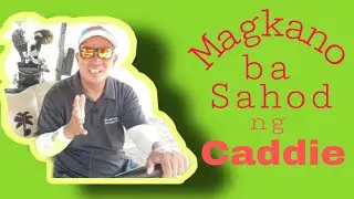 Caddie how much Caddies fee                             Magkano ba ang bayad sa Caddie
