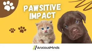Do Pets REALLY Hold the Key to Better Mental Health?