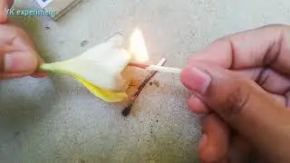 Awesome Match Tricks || Burn Flower || Science Experiments With Matches