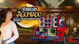 #FORR&Oacute;ZIN_AGUNIADO - REYNALDO JHUNIOR CANTOR & CHARLES TECLAS - ATUALIZADO MAIO 2025 / #FORROZIN2025