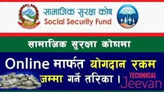 How to self contribution in SSF Nepal🇳🇵|घरबाटै सामाजिक सुरक्षा कोषमा रकम भुक्तानी | Technical Jeevan