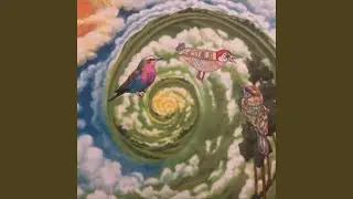 Three Birds on a Journey