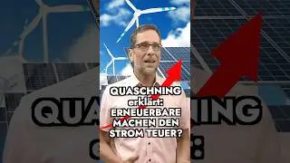 Erneuerbare Energien machen den Strom teuer?
