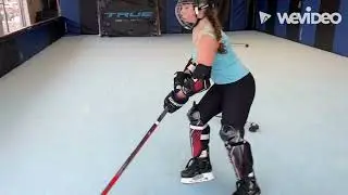 Off Ice training/Stl hockey Training