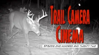 Dreary Nights of Winter - Trail Camera Cinema (EP122)