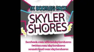 Avicii vs Porter Robinson - Language Could Be The One (Skyler Shores Edit)