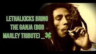 LethalKicks Bring The Ganja (Bob Marley Tribute) _🍀
