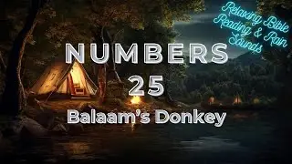 Numbers 25 &ndash; Balaam&rsquo;s Donkey | Relaxing Bible Reading & Rain Sounds