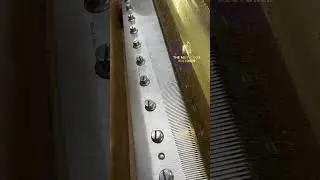La Somnambule Overture. La Sonnambula. Bellini Nicole Freres Music Box