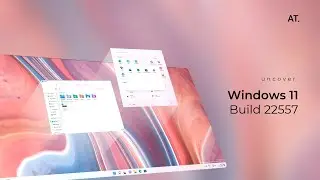 windows 11 build 22557