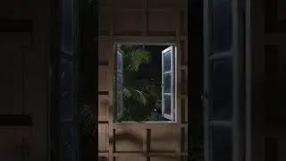 Power Went Out in Costa Rica | Easy Spanish Story 🌴