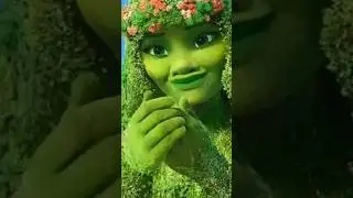 #dancingtree #music #dance #danceing #flowers #shortvideo #shortsvideo #treending #song