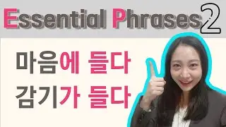 TOPIK2 level I Korean Phrasal Verb '들다' with Useful Expressions | KOREAN LESSON