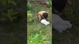 lilte Rebate walk in flower garden 🥰🥰