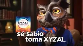 XYZAL ANTIAL&Eacute;RGICO 24HR