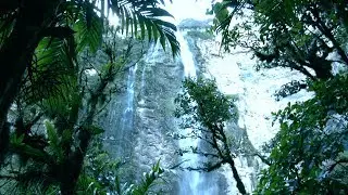 Gocta: la imponente catarata en medio del Amazonas