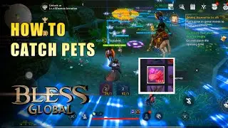 Bless Global - How to Catch Pet | Tips and Guide