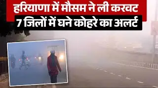 हरियाणा में मौसम ने ली करवट, 7 जिलों में घने कोहरे का अलर्ट