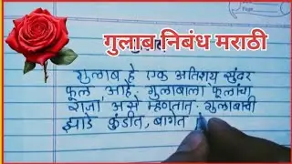 गुलाब निबंध मराठी /Rose flower essay in Marathi /information about 🌹