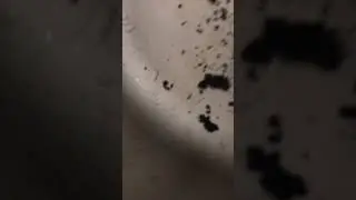 Утеплитель для двигателя авто STP Heat Shield