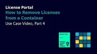 Use Case 4: How to Remove Licenses from a Container