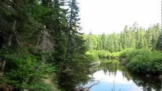 Whiskey Rapids Trail