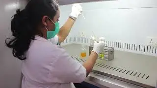 ATOM TESTING LABORATORY
