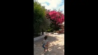 La vie en rose avec Pikasea