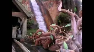 Splash Mountain onride POV (log flume at Disneyworld with waterproof cam)