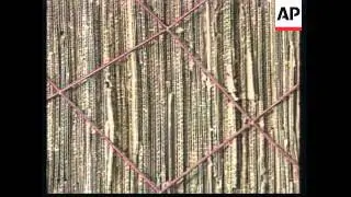VENEZUELA: CARACAS: RUBBISH DUMP ART EXHIBITION