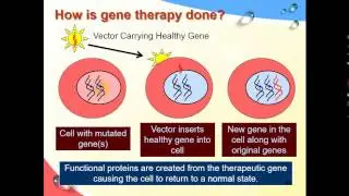 Molecular - dr. Eman -- Gene Therapy