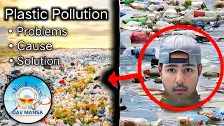 How To Actually Fix The Plastic Pollution Crisis